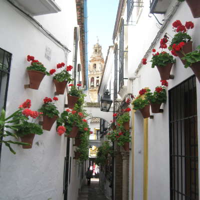 Espagne andalousie cordoue passage fleurs